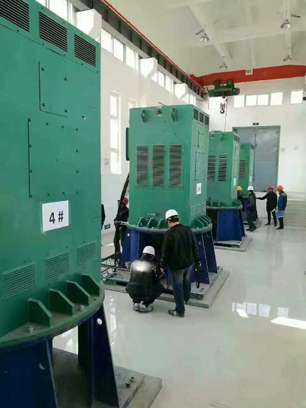 缙云某污水处理厂使用我厂的立式高压电机安装现场